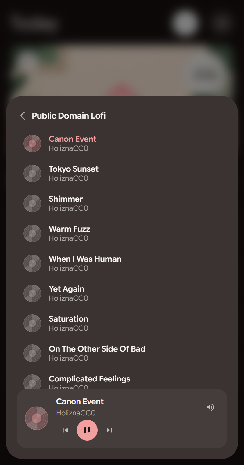 Bloomi's music list, seventeen bundled public domain tracks with one playing
